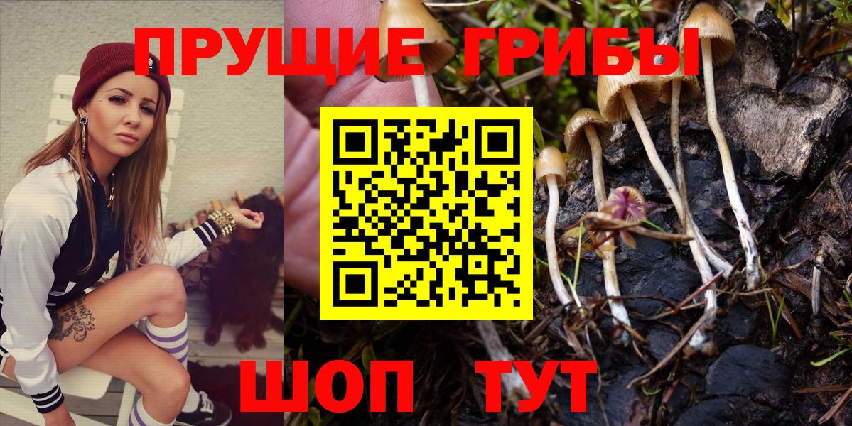Псилоцибиновые грибы GOLDEN TEACHER  Вход с VPN  Ульяновск  Галлюциногенные грибы Cubensis 